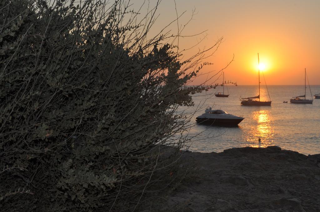 Viviendas Turisticas S'Estanyol La Savina  Dış mekan fotoğraf