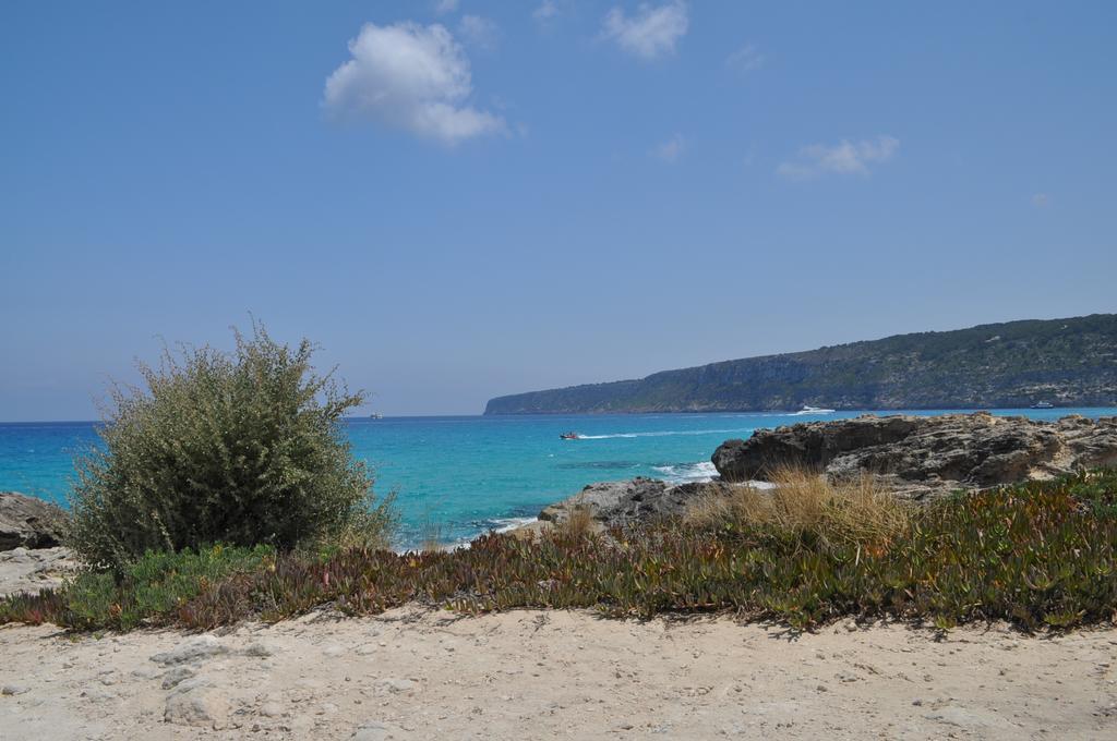 Viviendas Turisticas S'Estanyol La Savina  Dış mekan fotoğraf
